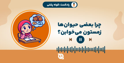 بعضی حیوانات کل زمستون خوابند!